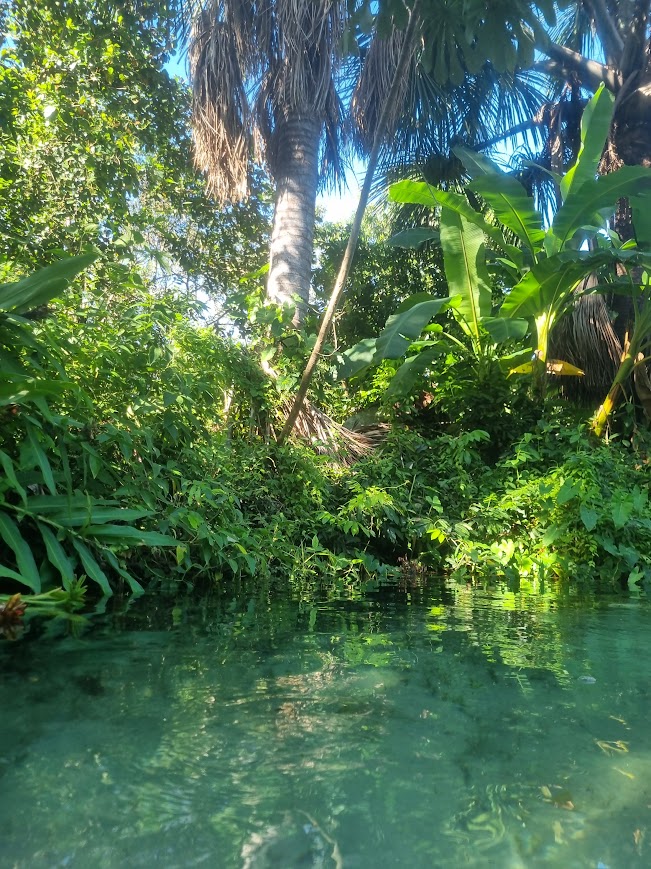 Fervedouro Alecrim - Jalapão - Tocantins