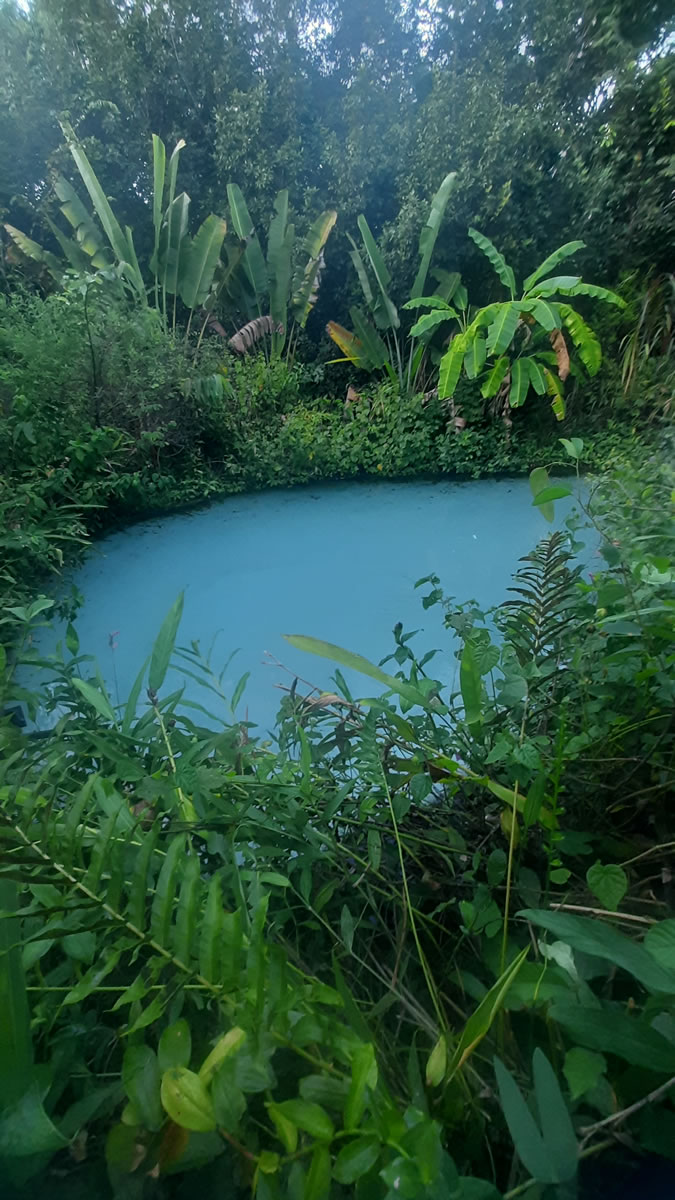 Fervedouro Alecrim - Jalapão - Tocantins