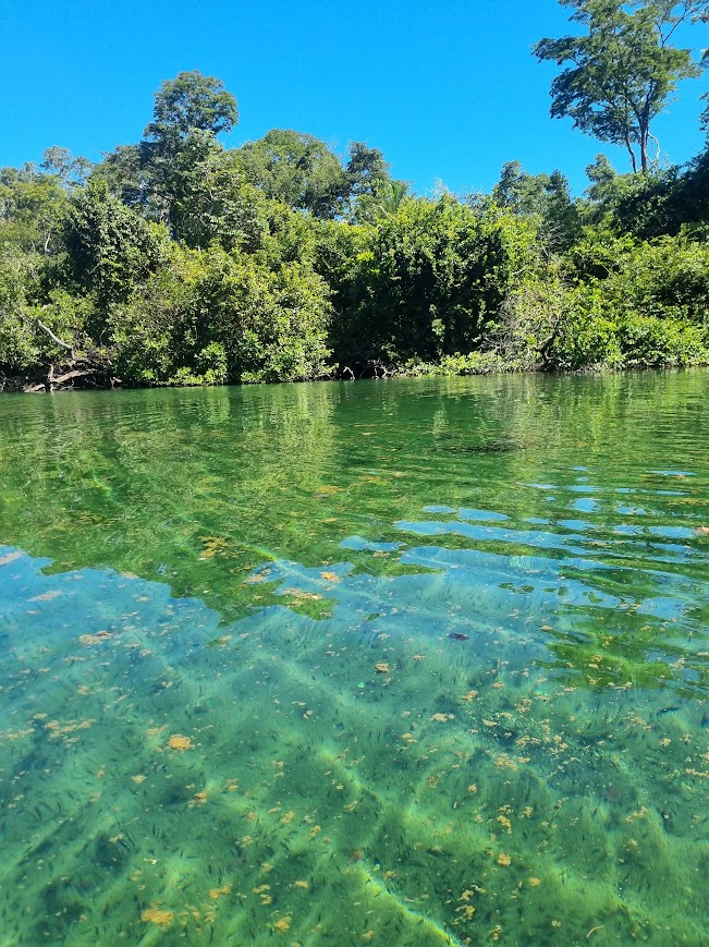 Lagoa do Japonês - Jalapão - Tocantins