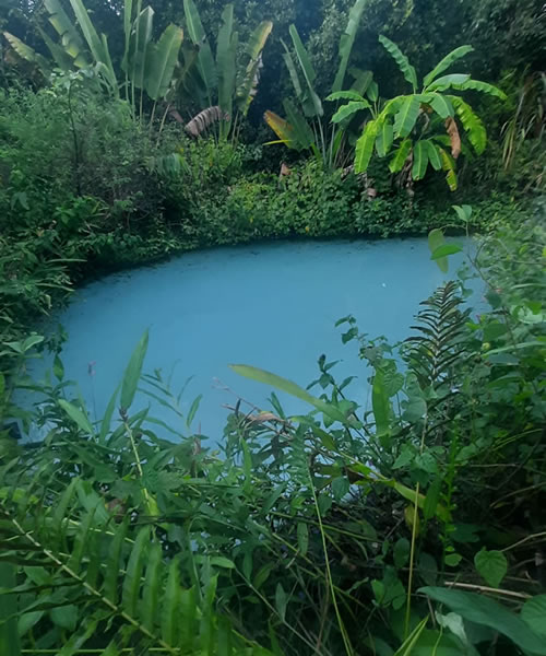 Fervedouro Alecrim no Jalapão