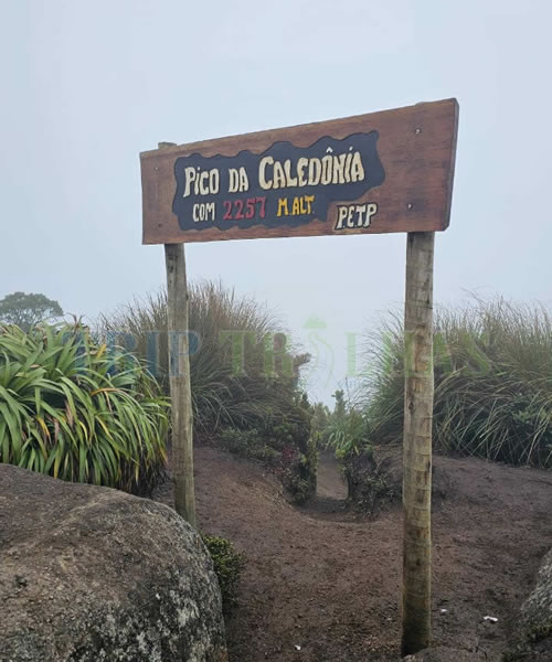 Pico da Caledônia